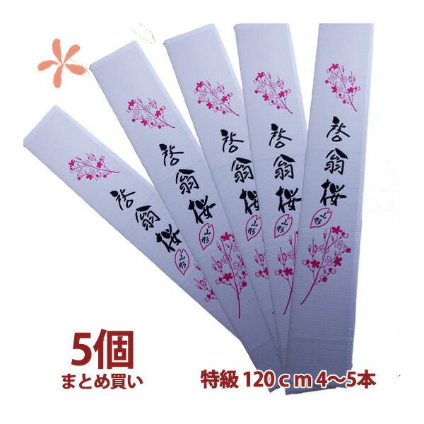 [ 120 5 ܂Ƃߔ a ԑ LO Ε N  a  ̎} 傫  ԃL[sbg ԃMtg