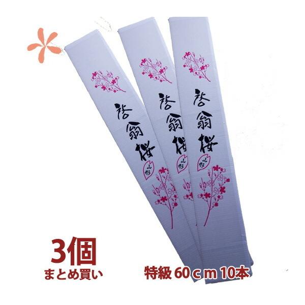 [ 60 10{ 3 ܂Ƃߔ a ԑ LO Ε N  a  ̎} 傫  ԃL[sbg ԃMtg