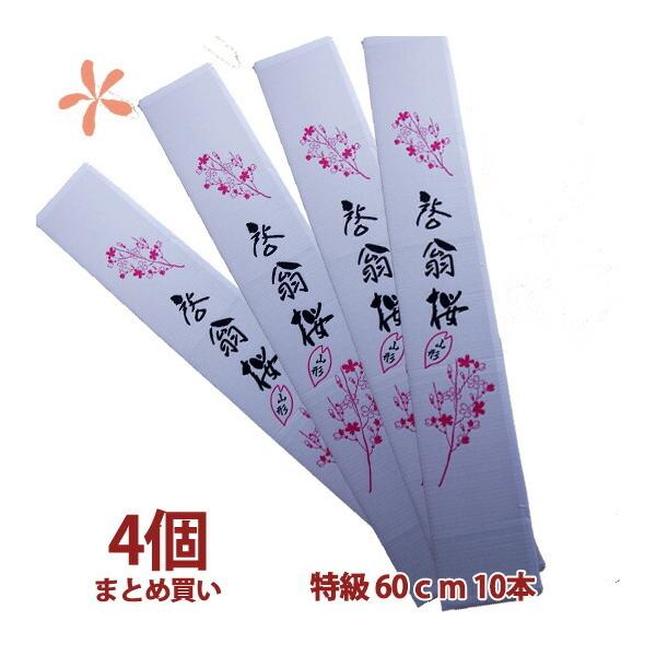 [ 60 10{ 4 ܂Ƃߔ a ԑ LO Ǝ ԑv[g  ̎} 傫  ԃL[sbg ԃMtg