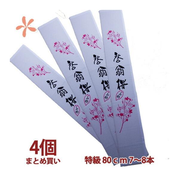 [ 80cm V`W{ 4 ܂Ƃߔ a ԑ LO Ε N  a  ̎}  ԃL[sbg ԃMtg