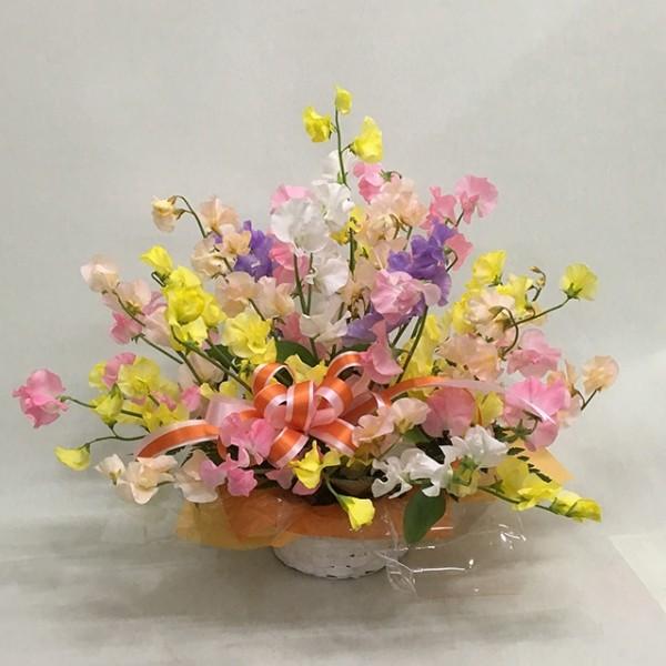 XC[gs[ IV lhw t[AWg   a  v[go  Ǝ g~j {[ vU[uh t[ ԃMtg