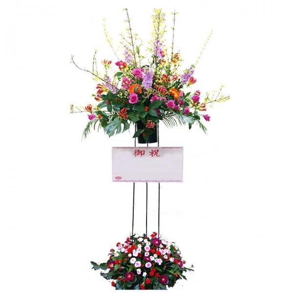 X^h JXj \ RT[g a fUCi[ɂ܂ ACAX^h ^Cv 55,000