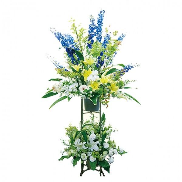 X^h JXj \ RT[g a fUCi[ɂ܂ X^_[hX^h ^Cv u[n 22,000