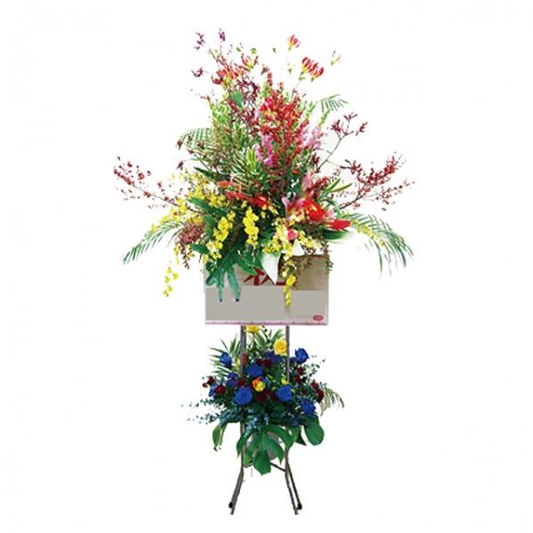 X^h JXj \ RT[g a fUCi[ɂ܂ X^_[hX^h ^Cv bhn 33,000