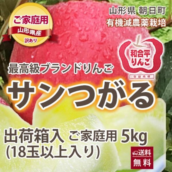 リンゴ リンゴ りんご サンつがる 訳あり 5kg 若干の色むら キズ有り 約18玉入り 有機減農薬栽培 朝日町和合平 葉取らずりんご 送料無料 送料無料 :tugaru-apple-w5kg:花ギフト山形産果物野菜花樹有 - 通販 - Yahoo!ショッピング リンゴ リンゴ りんご サンつがる 訳あり 5kg 若干の色むら キズ有り 約18玉入り 有機減農薬栽培 朝日町和合平 葉取らずりんご 送料無料 送料無料 :tugaru-apple-w5kg:花ギフト山形産果物野菜花樹有 - 通販 - Yahoo!ショッピング