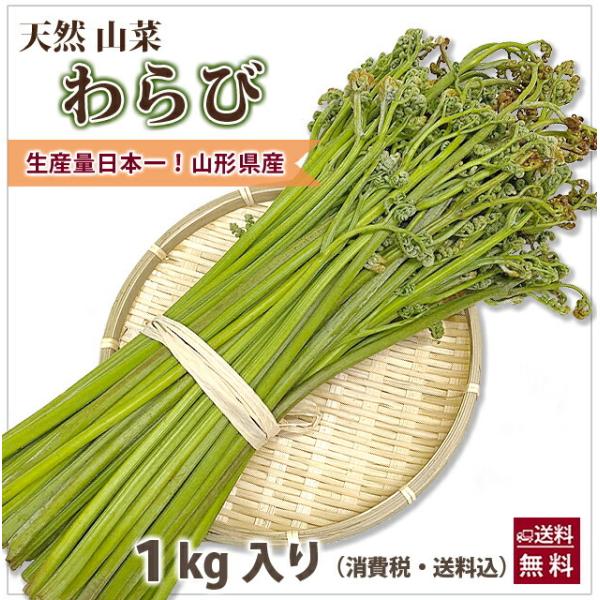 [Release date: May 15, 2026]山形県産 山菜 天然わらび 蕨 生ワラビ 生わらび １kg 送料無料 天然 村山市 山形 ワラビ