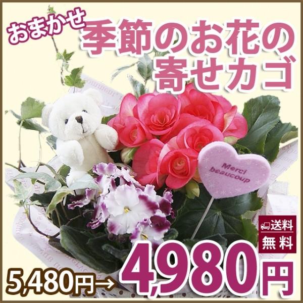 花 寄せ植え プレゼント - 生花の人気商品・通販・価格比較 - 価格.com 花 寄せ植え プレゼント - 生花の人気商品・通販・価格比較 - 価格.com