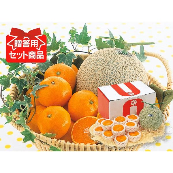 ハウスみかんとマスクメロン(1玉)セット