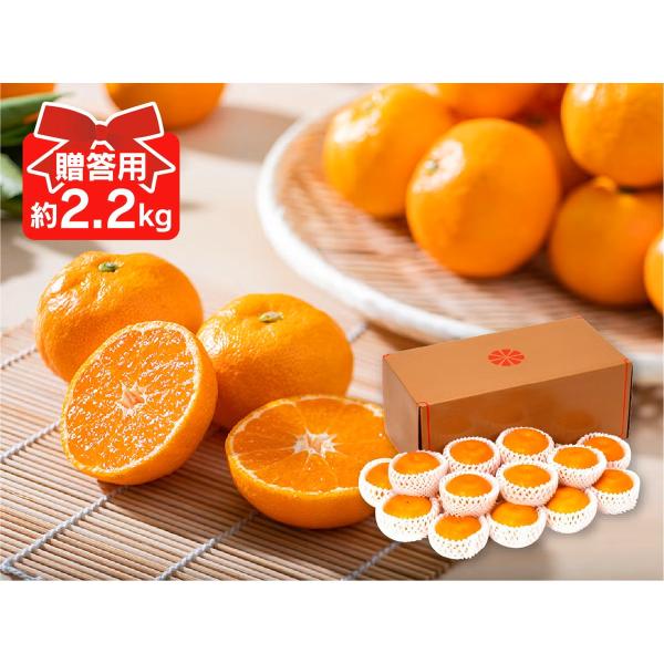 みかん　ハウスみかん約2.2kg-贈答用