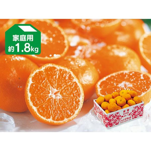 みかん　ハウスみかん1.8kg-家庭用