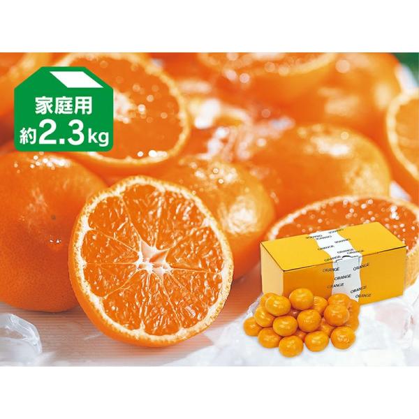 みかん　ハウスみかん2.3kg-家庭用