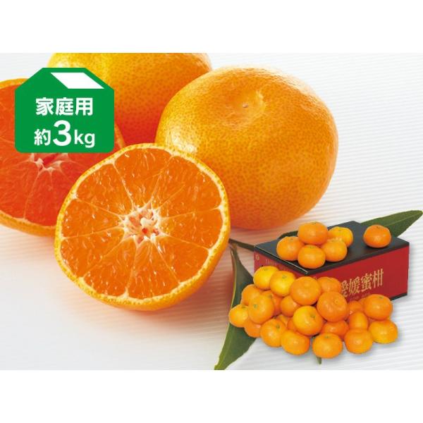みかん。 味ロマン」長崎 みかん | JA長崎せいひ公式オンラインショップ｜長崎県