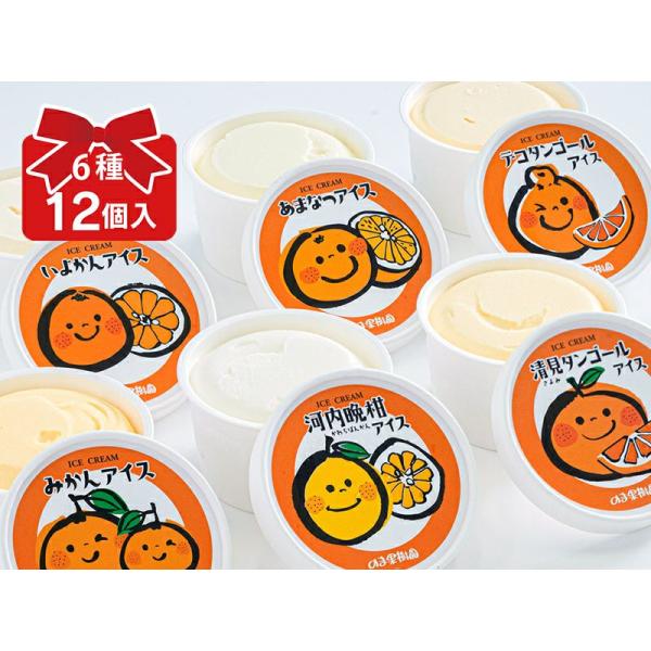 6種のしまなみみかんアイス 12個入（各2個入） 満足セット