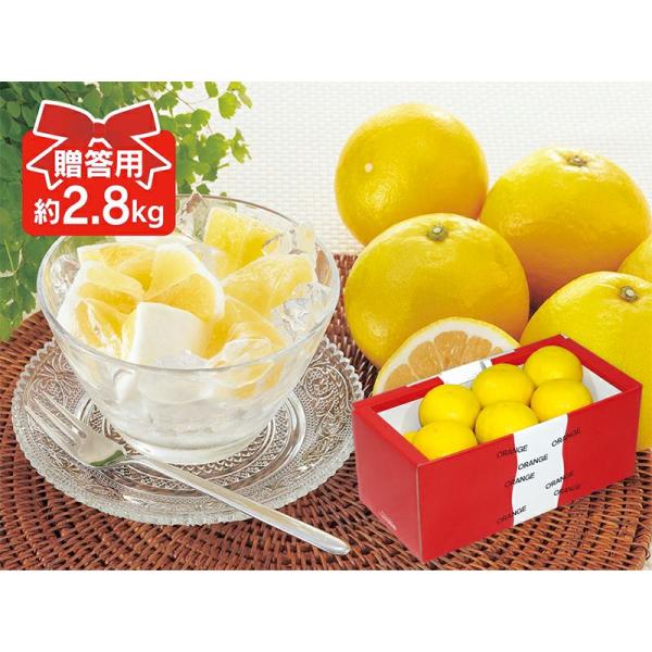 ニューサマーオレンジ約2.8kg-贈答用（日向夏・小夏）