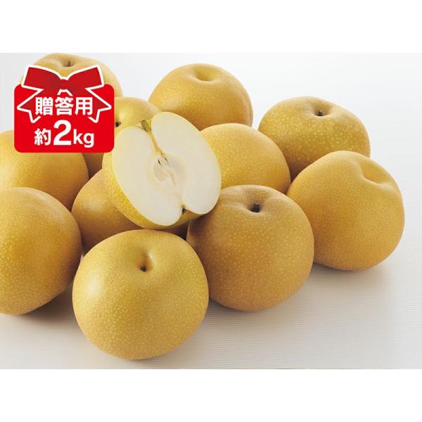 梨　豊水梨 約2kg