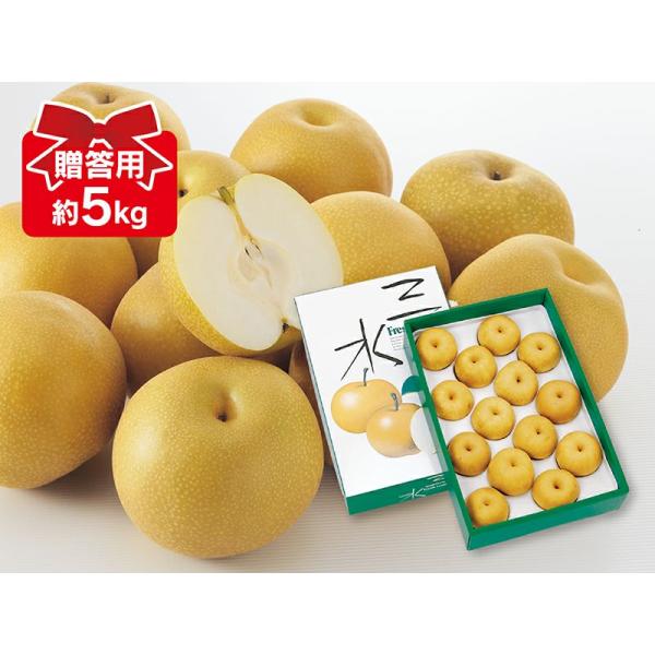 梨　豊水梨 約5kg