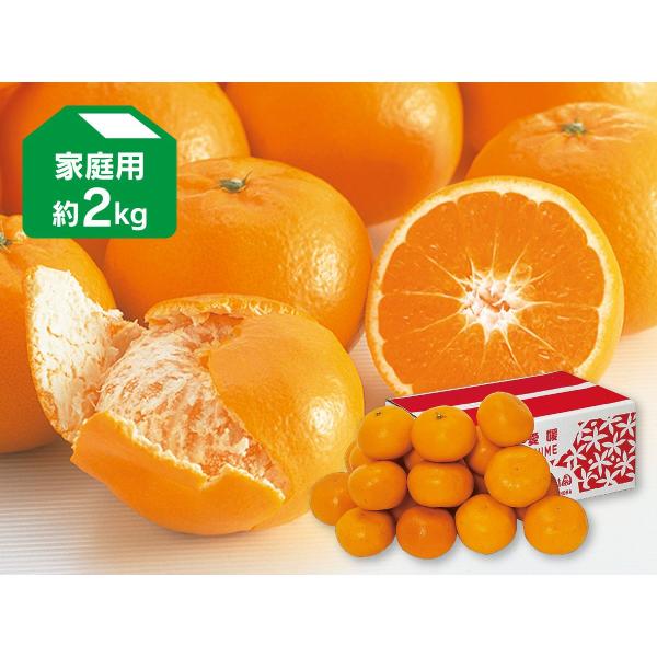 みかん はれひめ2kg-家庭用 : のま果樹園 - 通販 - Yahoo!ショッピング