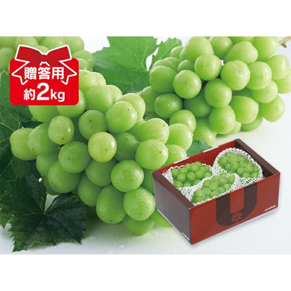 ぶどう シャインマスカット約2kg-贈答用