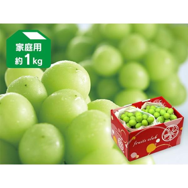 ぶどう シャインマスカット約1kg-家庭用