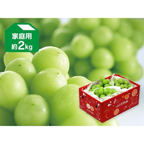 ぶどう シャインマスカット約2kg-家庭用