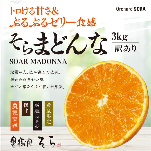 そらまどんな【天空の農園/訳あり】3kg :soramadonna-109:果樹園そら - 通販 - Yahoo!ショッピング そらまどんな【天空の農園/訳あり】3kg :soramadonna-109:果樹園そら - 通販 - Yahoo!ショッピング