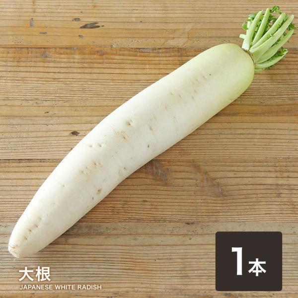 おでんのだいこん おでん用だいこん | いいな's STORE