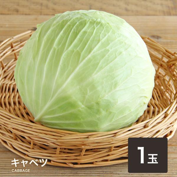 【商品説明】名称 キャベツ内容量 １玉保存方法 冷暗所にて新鮮なうちにお召し上がりください。★必ずお読みください・時期によって産地、大きさ、色が異なる場合がございます。　ご理解の上ご購入のほどよろしくお願いいたします。・北海道、沖縄、離島は...