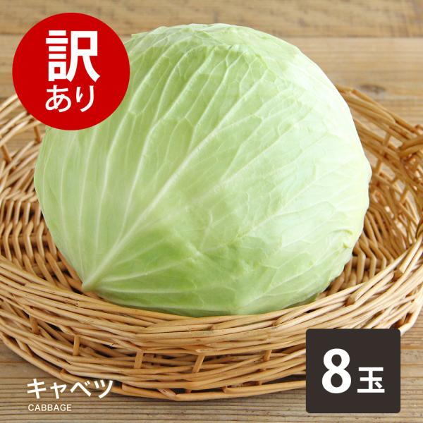 【商品説明】名称 訳ありキャベツ内容量 1玉★必ずお読みください・冷暗所にて保存し、新鮮なうちにお召し上がりください。・時期によって産地、大きさ、色などが異なる場合がございます。・北海道、沖縄、離島は追加送料が変更になる場合があります。※ご...