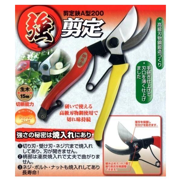 kakashiya_hasami-masamune