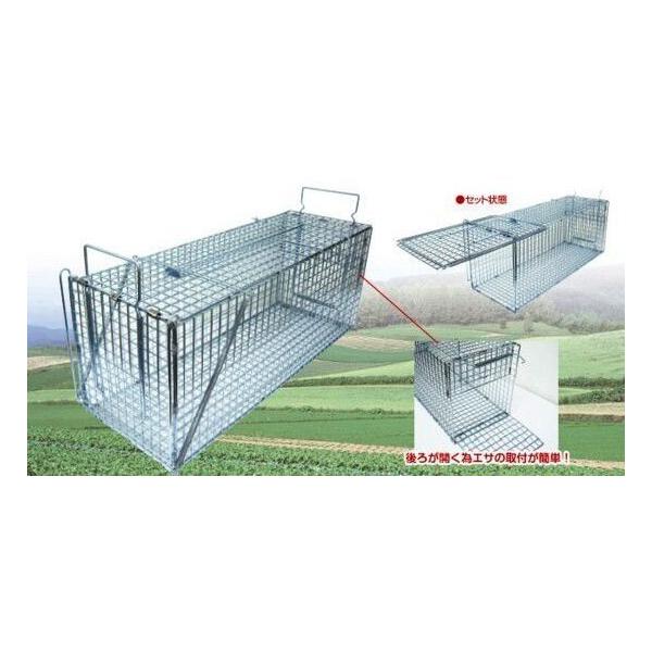 ߊlW{hs-QiqaPj@O̔J܂II@i@㩁@IT-2@hHƁ@vXX^C@hsQ