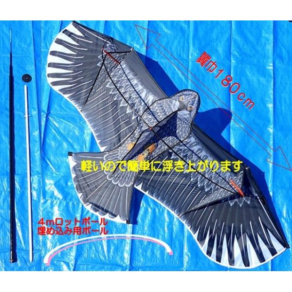 hEhbuJCgv@ɂȂтƗЂPWOcm̑̔͂ŋ𕑂܂B