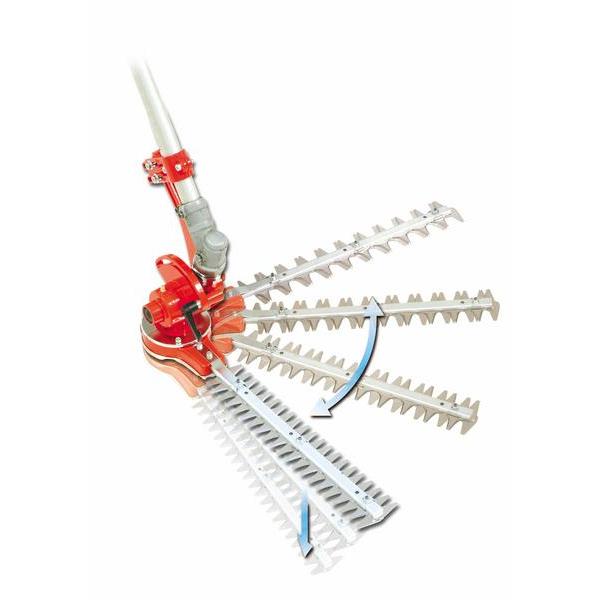 @tp@L^oJ@@ɎtȒPIE΂̔UȂSI