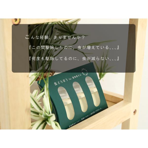 虫どろぼう　1個　天然防虫剤　穀物の虫対策に！コクゾウムシなどの卵の孵化を抑え虫を発生させにくくします！　正規取扱店【クリックポストで送料無料】