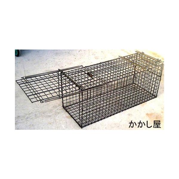 kakashiya_syoudoubutu-catcher24