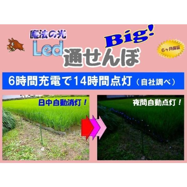イノシシ避けに効果あり。イノシシ対策。LED通せんぼ。 イノシシ撃退装置 Led通せんぼ Big!照度センサー 夜間自動点灯