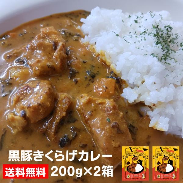黒豚きくらげカレー　龍泉洞黒豚　国産きくらげ　レトルト　カレー　ネコポス 爆買
