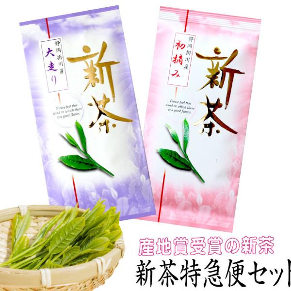 V}փZbg V 呖100g V菉E100g |쒃  [ Β  É  Β [ނ { 