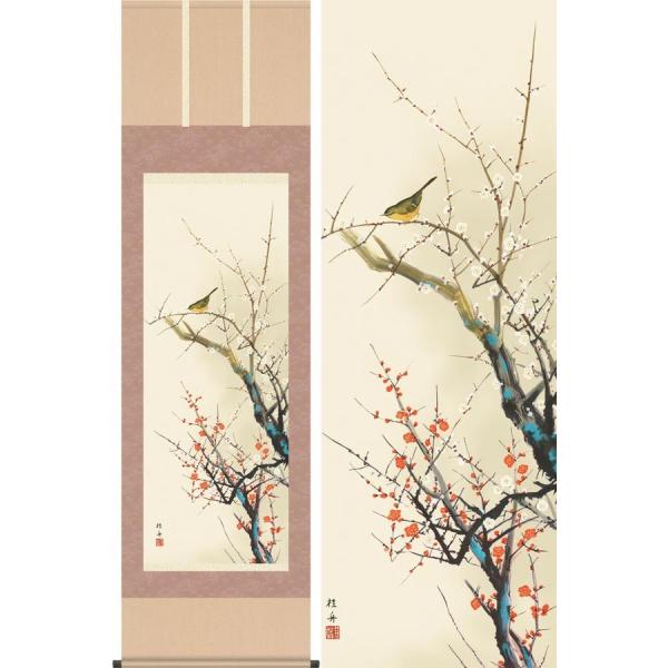 掛け軸 紅白梅に鶯 (長江桂舟) 掛軸 : 掛け軸・絵画の専門店 掛軸堂