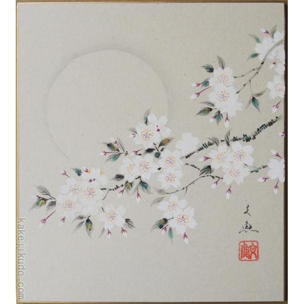 高級色紙「宵桜」文魚（色紙絵） : 掛け軸・絵画の専門店 掛軸堂