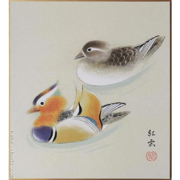 掛け軸/おしどり 楽天市場】掛け軸 掛軸 花鳥 [尺五立]鴛鴦 おしどり (浮田 秋水)全国