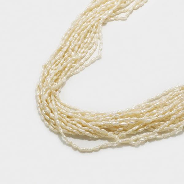 y1_z Vo[ W p[ lbNX { yKSNE21202z