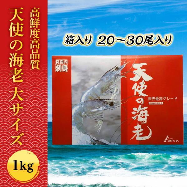 天使の海老 大サイズ1Kg箱入り(規格:20/30) えび 海老 エビ 刺身用 生