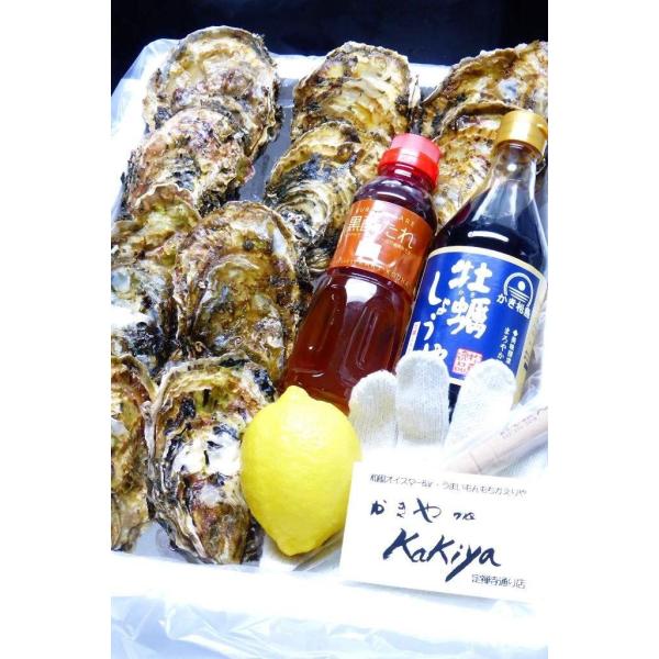 【三陸産殻付生かき10個☆タレ付きセット】新鮮な三陸かきをかき醤油と黒酢たれで楽しめる！［嬉しいかき剥きナイフ軍手付き］