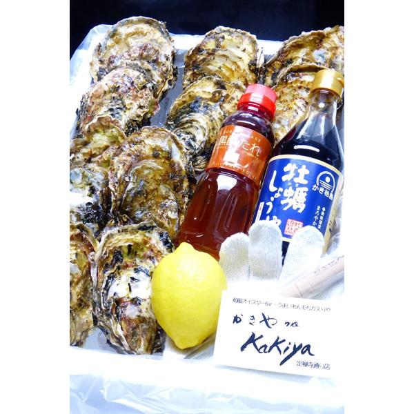 【三陸産殻付生かき15個☆タレ付きセット】新鮮な三陸かきをかき醤油と黒酢たれで楽しめる！［嬉しいかき剥きナイフ軍手付き］