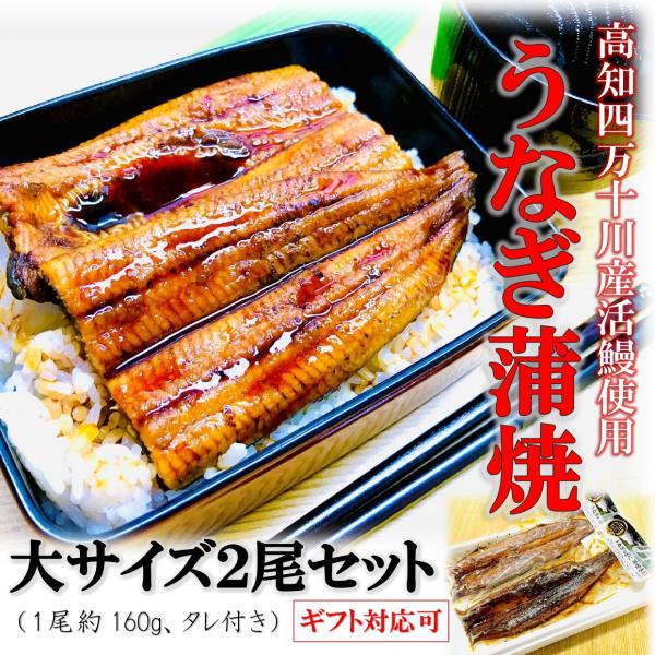 鰻 うなぎ 蒲焼き 国産 無頭 鰻蒲焼 大サイズ 160g前後×２尾 ウナギ 美味しい 大きい うなぎの蒲焼き 鰻の蒲焼 うなぎ蒲焼 国産うなぎ 贈り物 丑の日 父の日