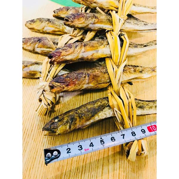 焼きハゼ 10尾×1連　宮城石巻北上川産　大中サイズ15〜16cm
