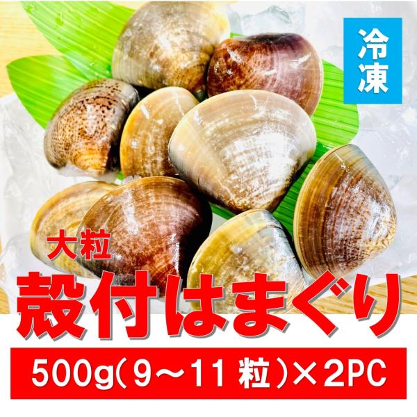 殻付 大粒 はまぐり LL サイズ 500g ×２PC