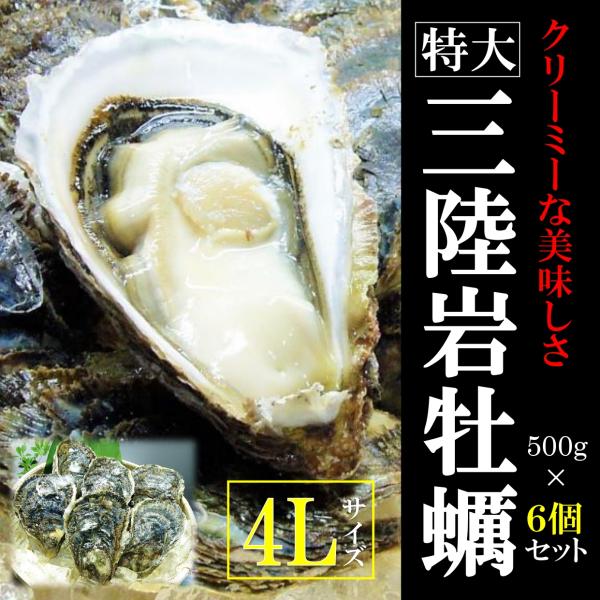 kakiya 三陸産 岩牡蠣 特大4Lサイズ 6個セット 生食用 夏の岩牡蠣クリーミーな美味しさ！ 岩ガキ 岩牡蠣 イワカキ 牡蠣