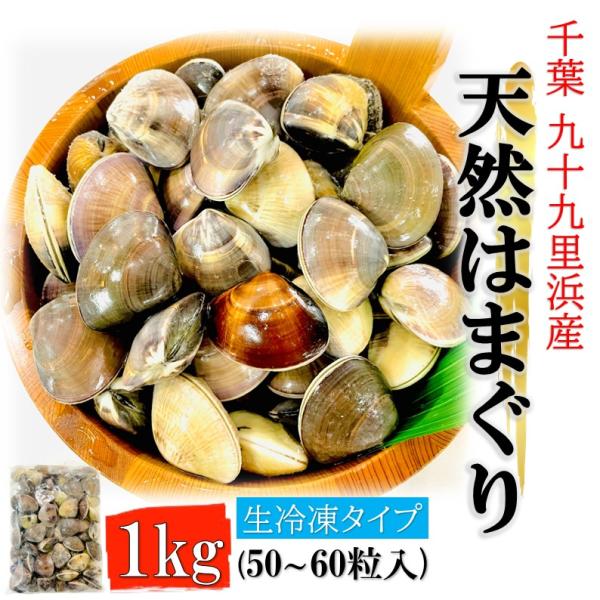 はまぐり 1kg/袋 50〜60粒入り 殻付 生冷凍 砂抜き済 千葉 九十九里産 ハマグリ 蛤 国産 天然 酒蒸し 味噌汁 蛤鍋 ラーメン