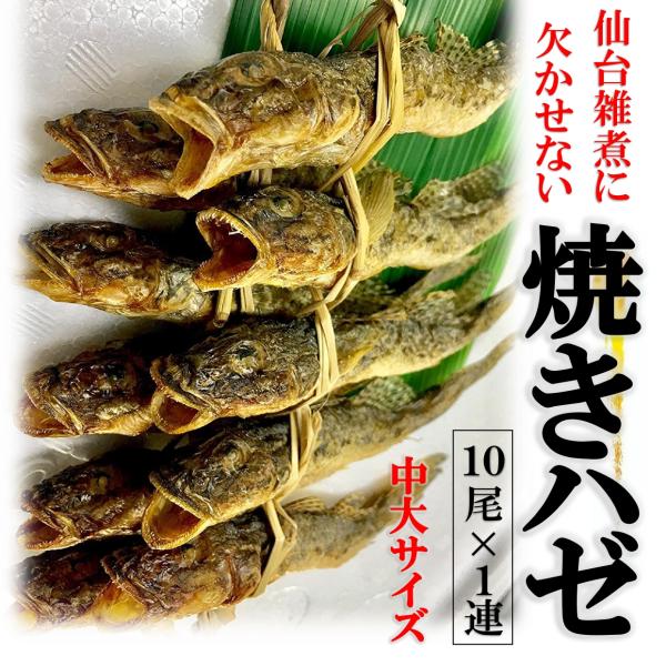 仙台雑煮に欠かせない! 宮城県産 焼きハゼ 中大サイズ(約14-15cm)　10尾×1連　焼きはぜ はぜ出汁 お雑煮 ハゼ　